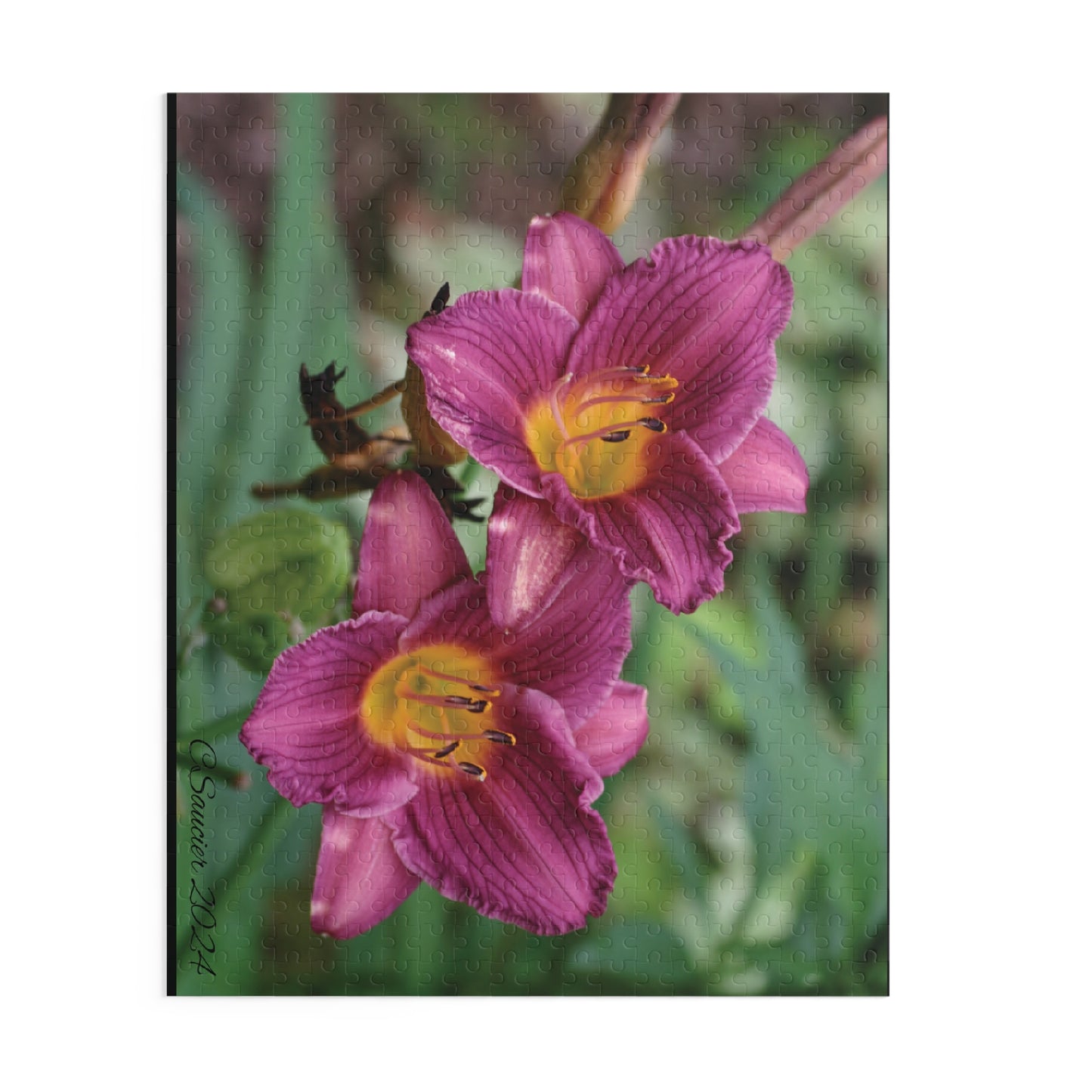 Puzzle - Minnesota Daylilies -