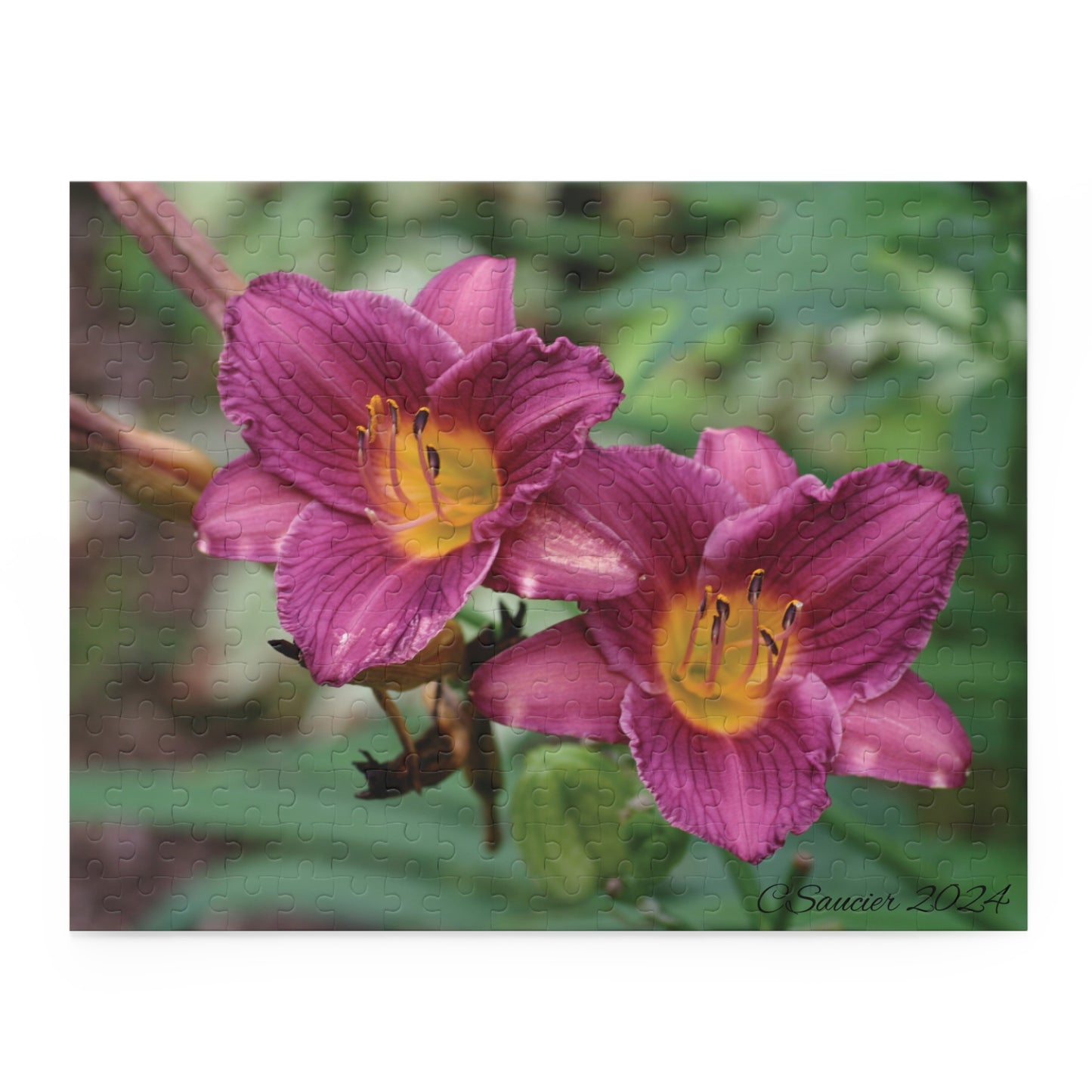 Puzzle - Minnesota Daylilies -