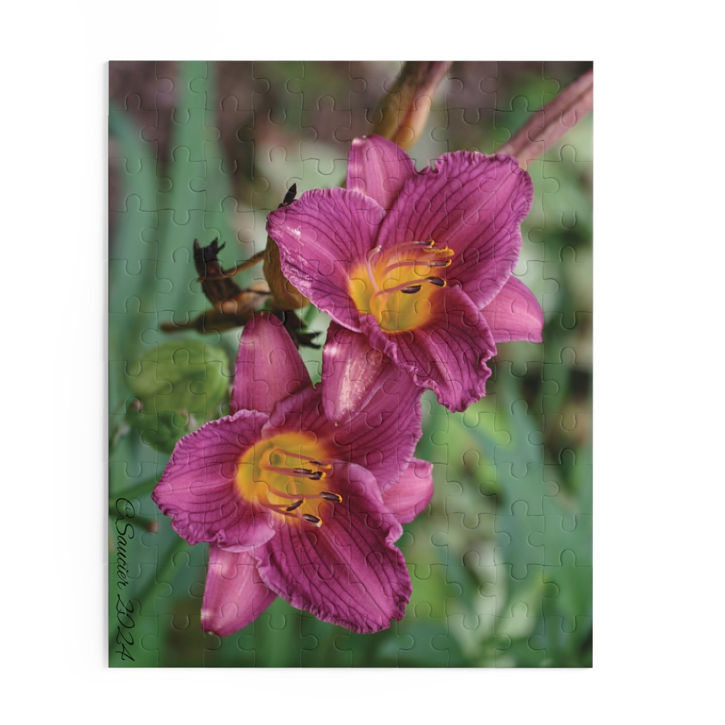 Puzzle - Minnesota Daylilies -