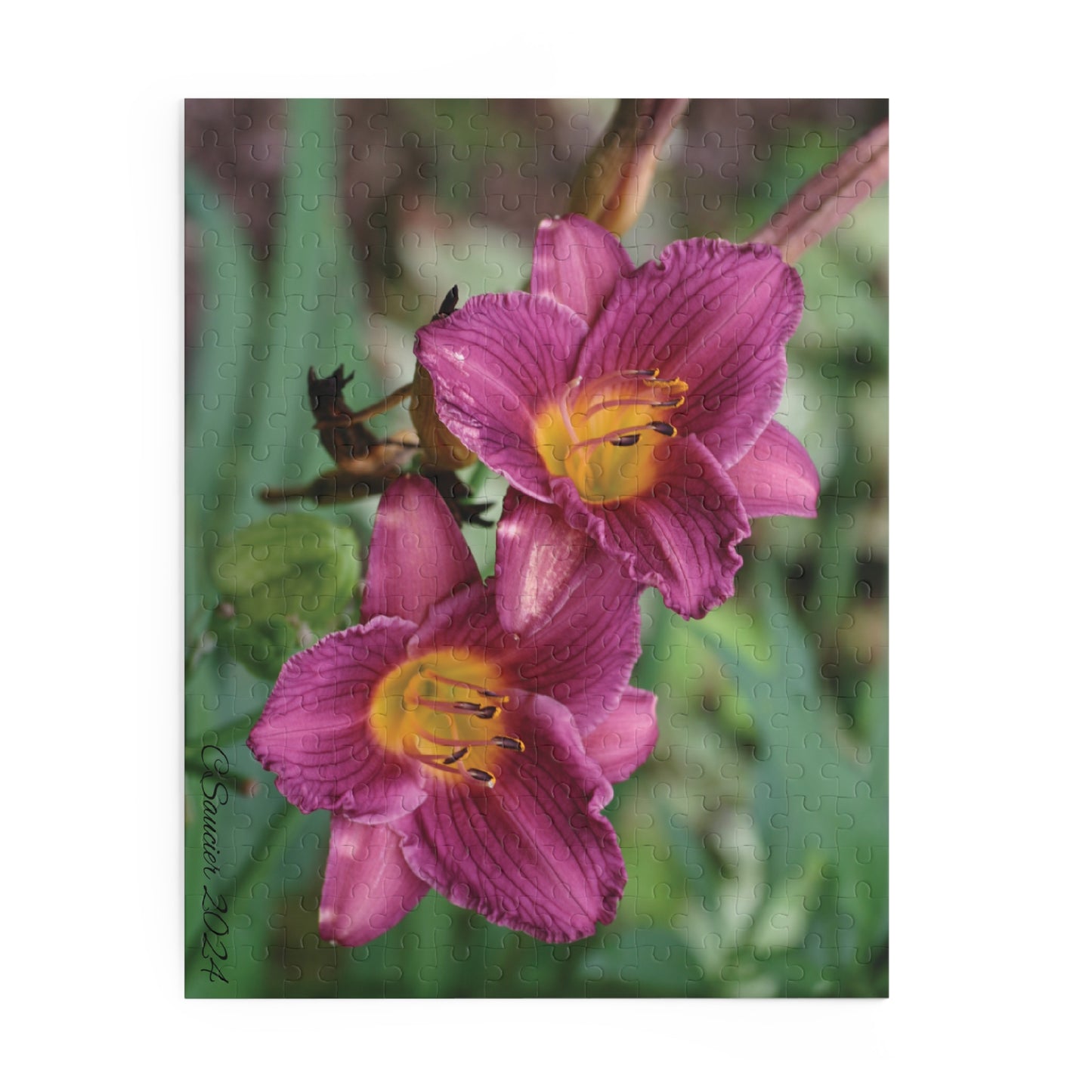 Puzzle - Minnesota Daylilies -