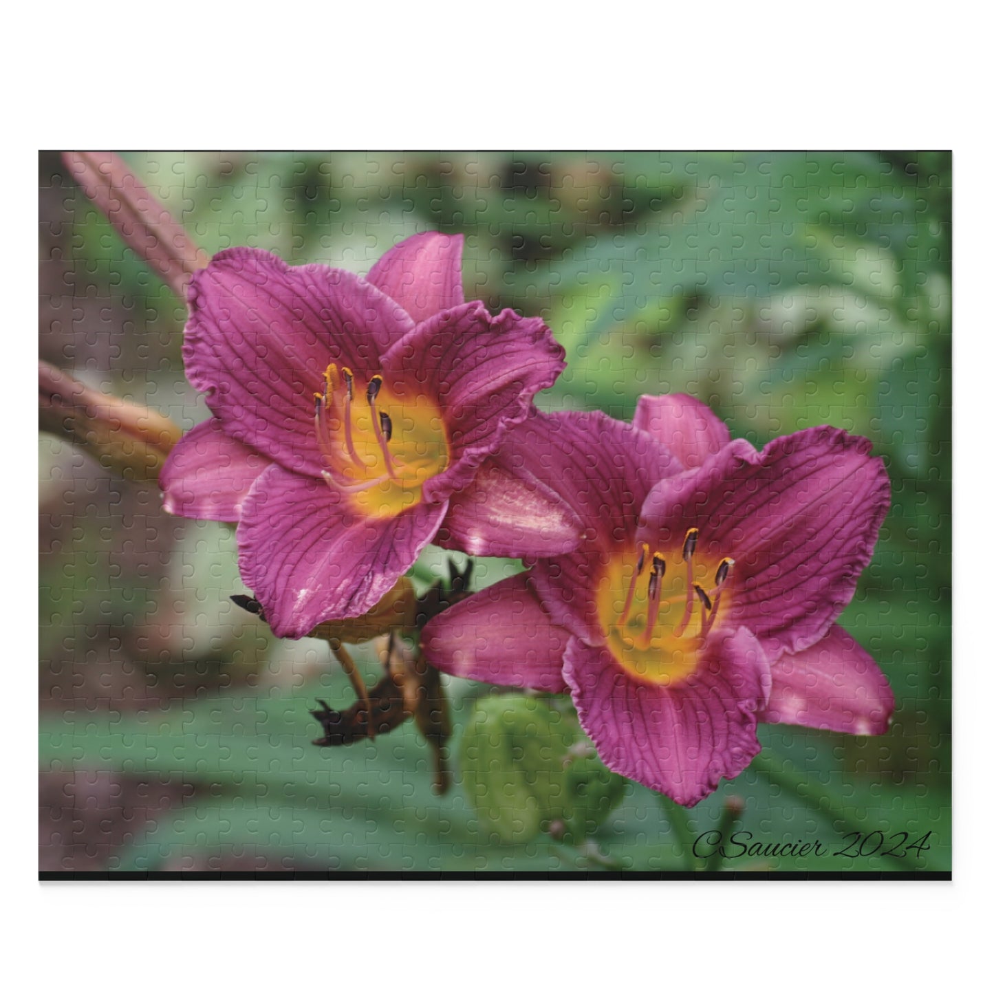 Puzzle - Minnesota Daylilies -