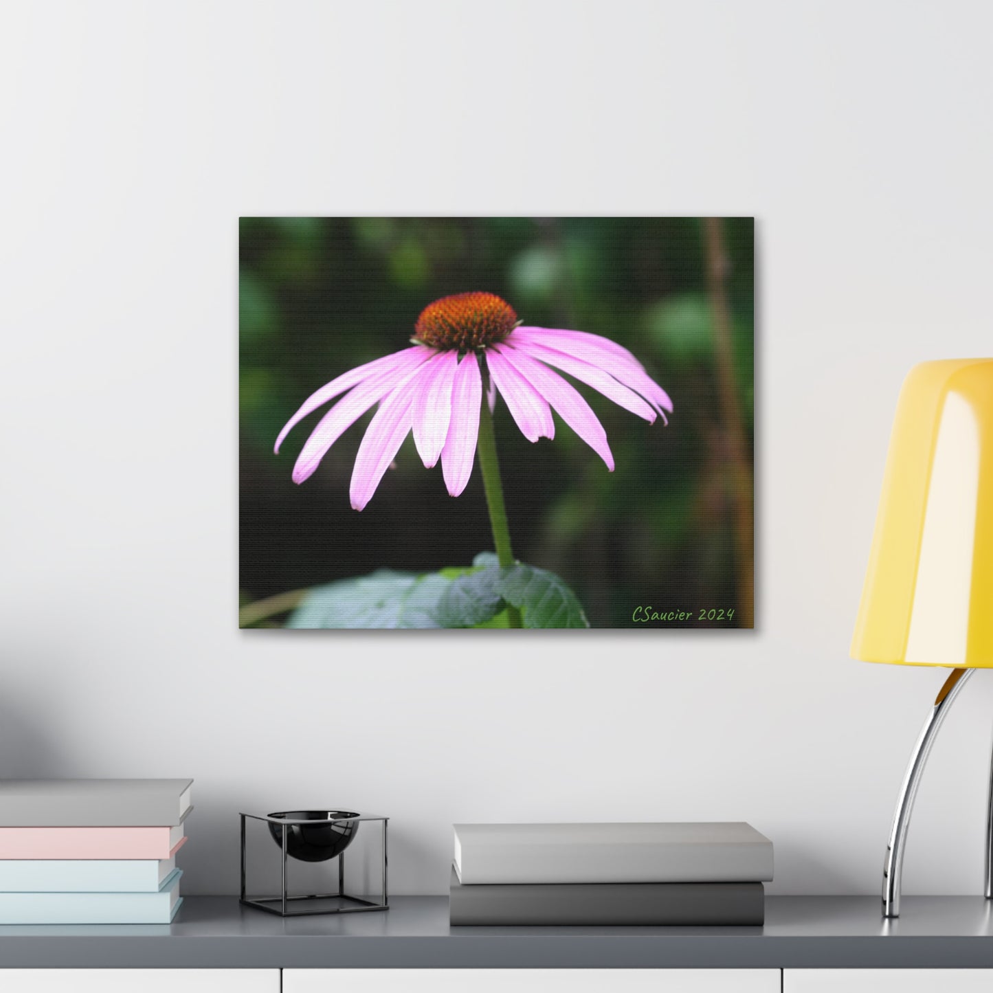 Purple Coneflower on Gallery Canvas