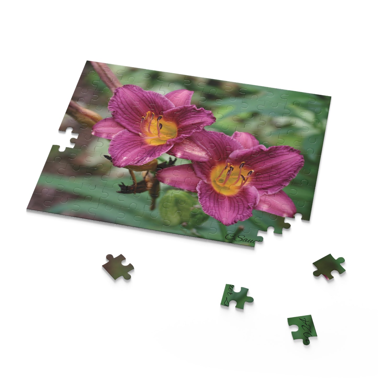 Puzzle - Minnesota Daylilies -