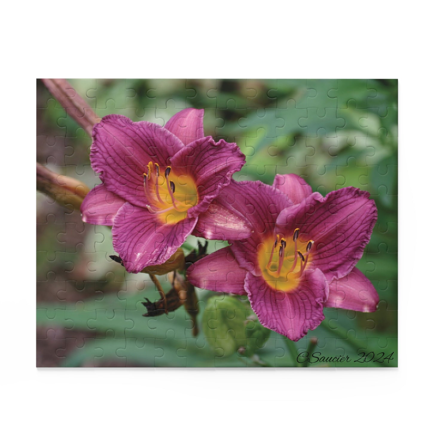 Puzzle - Minnesota Daylilies -